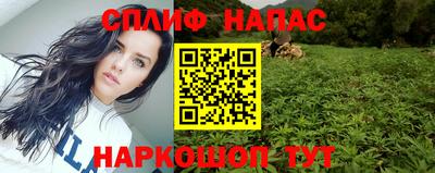 apvp Камышлов