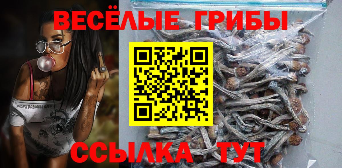 Красный Сулин  Галлюциногенные грибы Psilocybe  Галлюциногенные грибы GOLDEN TEACHER  купить наркотики сайты  Вход с VPN 