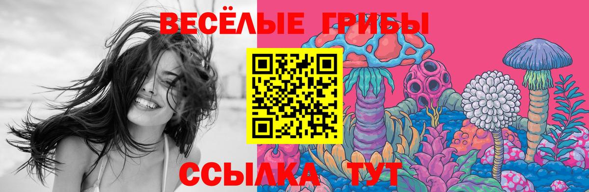 Галлюциногенные грибы прущие грибы Красный Сулин